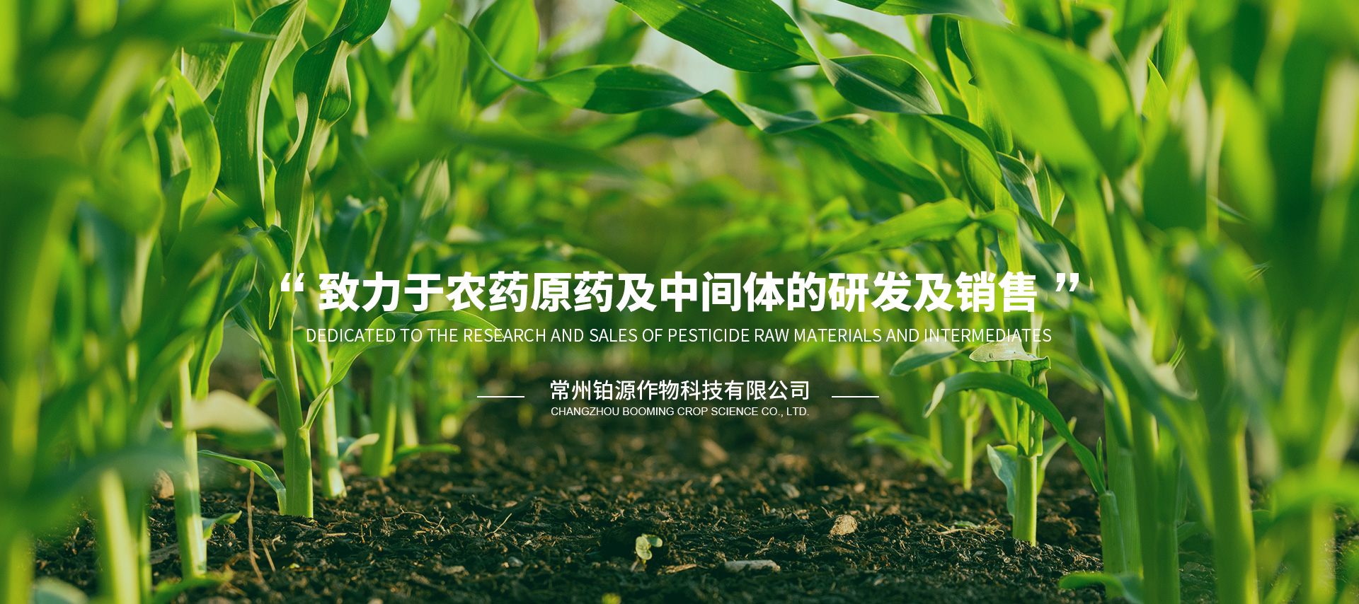 質(zhì)量體系認(rèn)證審核_南京汽車(chē)變速箱有限公司