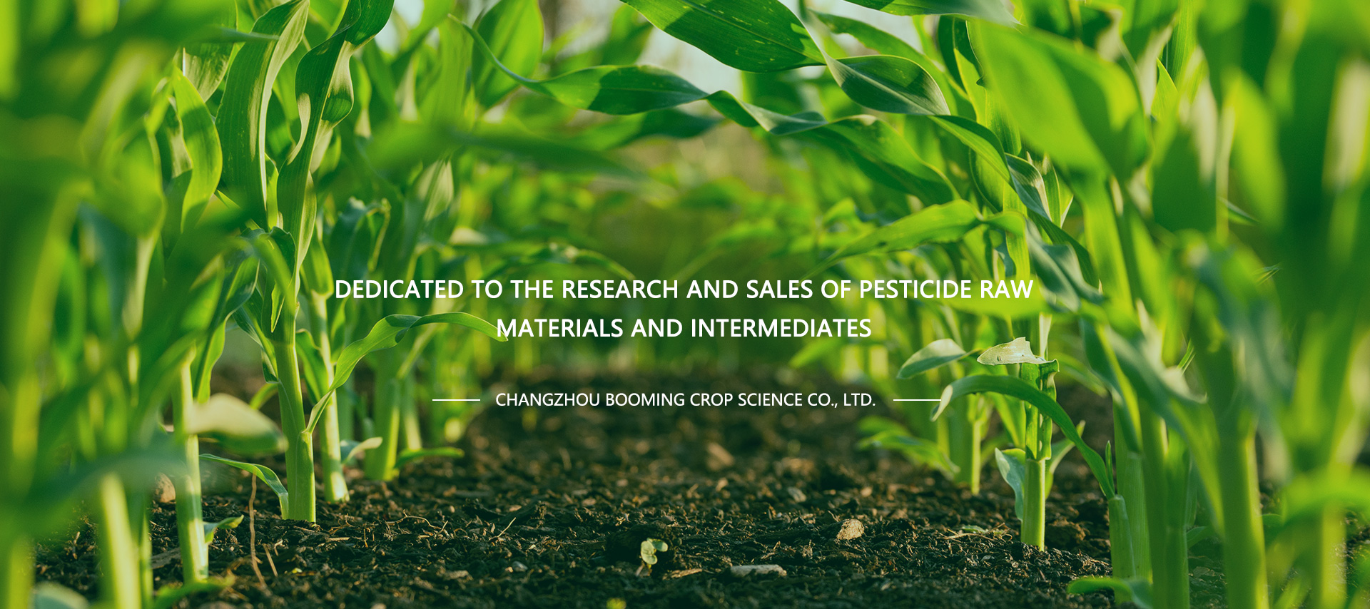質(zhì)量體系認(rèn)證審核_Nanjing Automobile Transmission Co., Ltd.